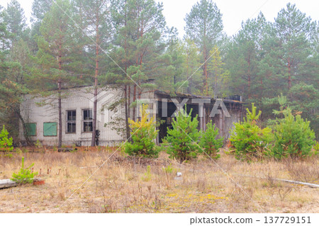 Old abandoned house in the ghost town Pripyat in Chernobyl Exclusion Zone, Ukraine Old abandoned house in the ghost town Pripyat in Chernobyl Exclusion Zone, Ukraine 137729151