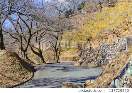 A roubai that shines in the blue sky A roubai that shines in the blue sky 137729260