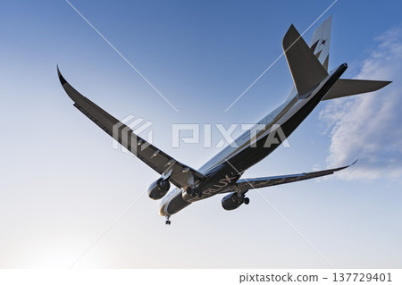 黃昏時分的仙台機場，飛機降落，宮城縣名取市 137729401