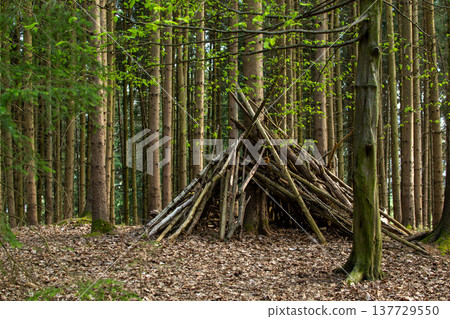 View of a hut made of pine trunks in an Austrian forest View of a hut made of pine trunks in an Austrian forest 137729550