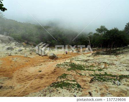 [Mountain Scenery] Yamanashi Prefecture - Mt. Houou climb - Descent from Jizodake 137729606