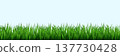 Seamless green grass lawn border with lush blades and wild meadow vegetation in cartoon style vector pattern for spring garden landscape background with natural turf texture and outdoor field design 137730428