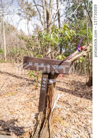 The summit of Sentoji Mountain (Sagamihara City, Kanagawa Prefecture) The summit of Sentoji Mountain (Sagamihara City, Kanagawa Prefecture) 137730889