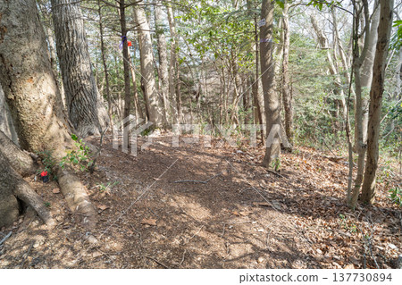 山上澤之熱玉山頂（神奈川縣相模原市） 137730894