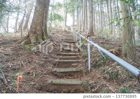 Stairs just below the summit of Kintaro Gongen Mountain (Sagamihara City, Kanagawa Prefecture) Stairs just below the summit of Kintaro Gongen Mountain (Sagamihara City, Kanagawa Prefecture) 137730895