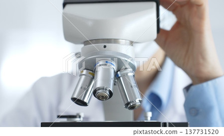 Scientific researcher carefully adjusting microscope lens, focusing on precision work within sterile laboratory environment. Laboratory, healthcare and science concept Scientific researcher carefully adjusting microscope lens, focusing on precision work within sterile laboratory environment. Laboratory, healthcare and science concept 137731520
