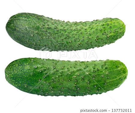 Two fresh green prickly cucumbers isolated on white background. 137732011