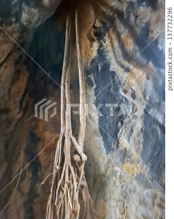 Roots hang from the ceiling of a dark cave, connecting with the rocky surface below. The scene shows the unique interaction of nature in an underground space. Roots hang from the ceiling of a dark cave, connecting with the rocky surface below. The scene shows the unique interaction of nature in an underground space. 137732296