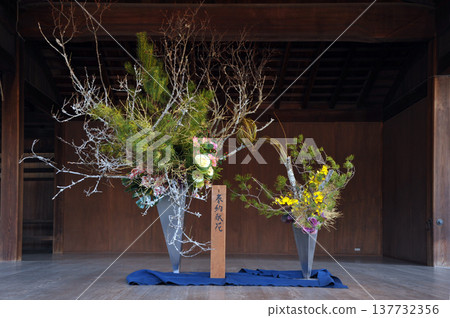 Fresh flower of the New Year Fresh flower of the New Year 137732356