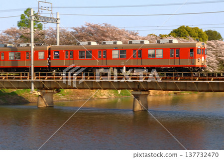 [TD] Spring Tobu Noda Line 8000 Series Train (Memorial Train) 137732470