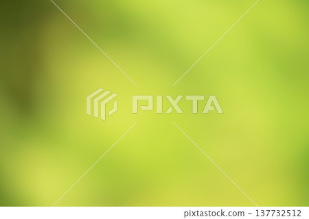 淺綠色模糊漸層背景 137732512