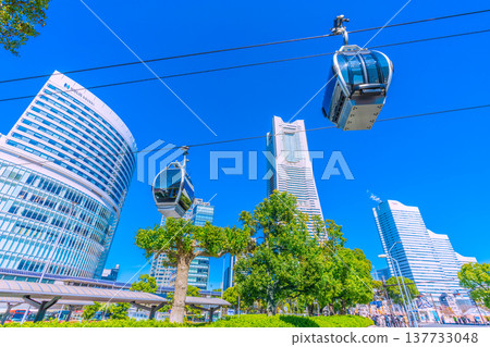 日本橫濱城市景觀：砍伐街道樹木…橫濱地標塔與橫濱機艙景觀 137733048