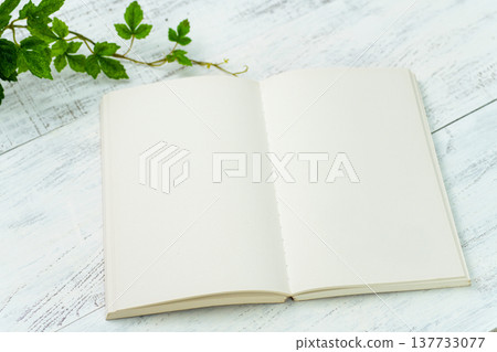 打開便箋 137733077