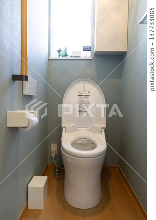 Toilet in a 10-year-old house Toilet in a 10-year-old house 137733085
