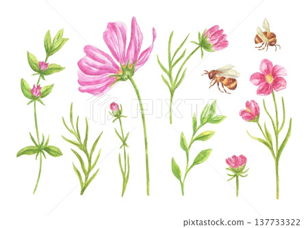 Watercolor illustration of pink wildflowers, greenery, and bumblebees. A botanical set of elements depicting blooming meadow flora. A painted nature scene for spring and summer design. 137733322