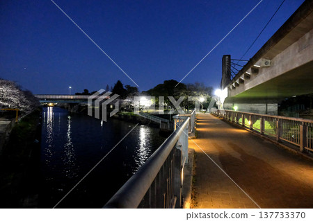 愛知縣名古屋市 - 荒川公園（夜景）2 - 2025年4月2日 137733370