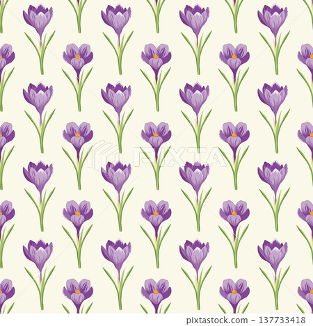 Repeating floral pattern featuring vibrant purple crocus blossoms and green stems on a cream background Repeating floral pattern featuring vibrant purple crocus blossoms and green stems on a cream background 137733418
