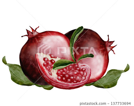 Pomegranate fruit watercolor. Realistic botanical illustration on a white background. Perfect for packaging design, organic cosmetics, invitations, and wellness branding. Handmade. 137733694