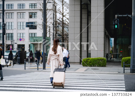 A businessman carrying a carry-on bag A businessman carrying a carry-on bag 137733824
