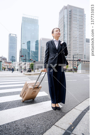 A businessman carrying a carry-on bag A businessman carrying a carry-on bag 137733853