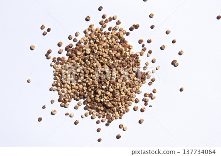 Sorghum placed on a white background. Sorghum placed on a white background. 137734064