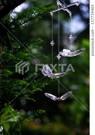 crystal butterfly pendants on a spruce branch in an alpine forest crystal butterfly pendants on a spruce branch in an alpine forest 137734465