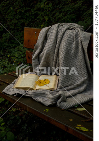 An open book and a warm blanket on a bench in the autumn forest 137734466
