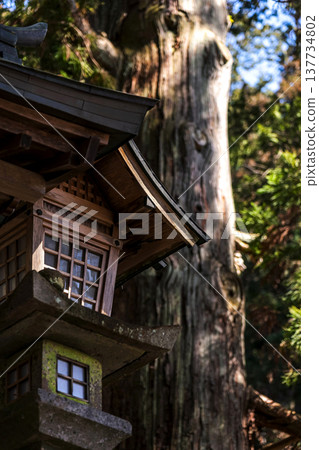 260314 Hie Shrine g007 137734802