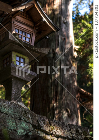 260314 Hie Shrine g009 137734803