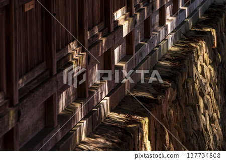 260314 Hie Shrine g017 137734808