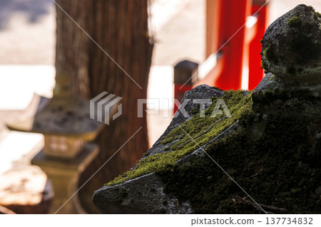 260314 Hie Shrine g052 137734832