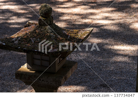 260314 Hie Shrine g069 260314 Hie Shrine g069 137734847