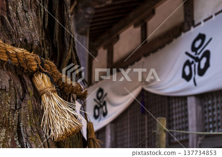 260314 Hie Shrine g076 137734853