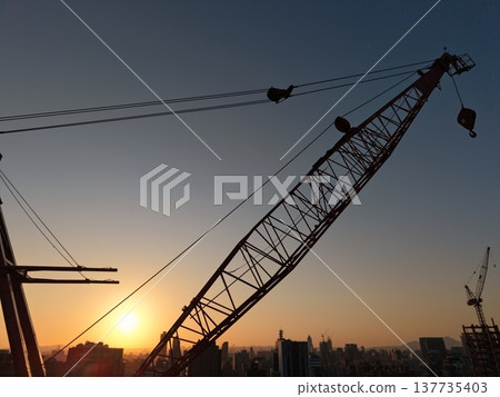 Crane Crane 137735403