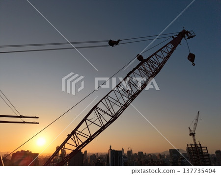 Crane 137735404