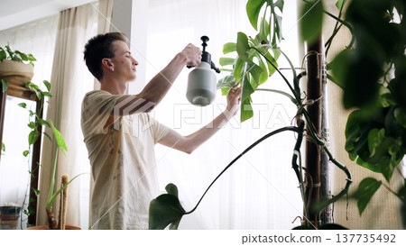 Man spraying a monstera plant in home 137735492