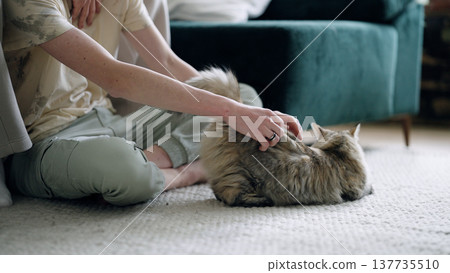 Gay couple stroking cat on living room floor 137735510