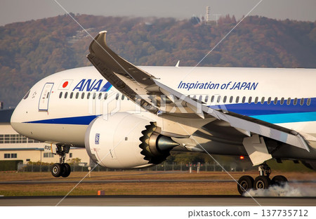 ANA B789 landing at Itami Airport ANA B789 landing at Itami Airport 137735712