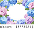 A frame of hydrangeas blooming in the rainy season 137735814