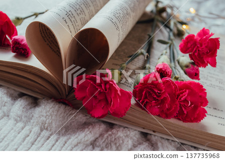 Bouquet of pink miniature carnations lying on the pages of a book Bouquet of pink miniature carnations lying on the pages of a book 137735968