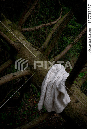 white wool knitted sweater on a fallen spruce white wool knitted sweater on a fallen spruce 137735987