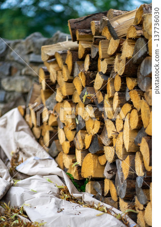 Firewood prepared for winter folded in the form of a wall Firewood prepared for winter folded in the form of a wall 137736030