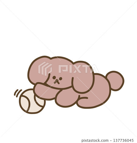 Dog playing with ball Dog playing with ball 137736045