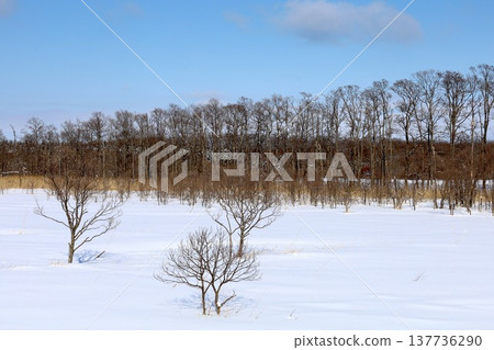 二月，北海道嚴寒的冬季，佐呂間湖，北海道東部，從佐呂間湖上的龍宮台展望台眺望鄂霍次克海，可以看到浮冰。 137736290