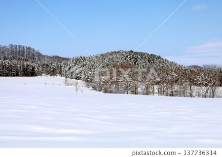 February, the bitterly cold winter of Hokkaido, Lake Saroma, eastern Hokkaido, drift ice viewed from Ryugudai Observatory on Lake Saroma overlooking the Sea of Okhotsk. 137736314