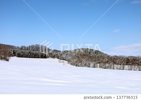 February, the bitterly cold winter of Hokkaido, Lake Saroma, eastern Hokkaido, drift ice viewed from Ryugudai Observatory on Lake Saroma overlooking the Sea of Okhotsk. February, the bitterly cold winter of Hokkaido, Lake Saroma, eastern Hokkaido, drift ice viewed from Ryugudai Observatory on Lake Saroma overlooking the Sea of Okhotsk. 137736315