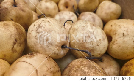 Fresh Asian Pears Close-Up Fresh Asian Pears Close-Up 137736796
