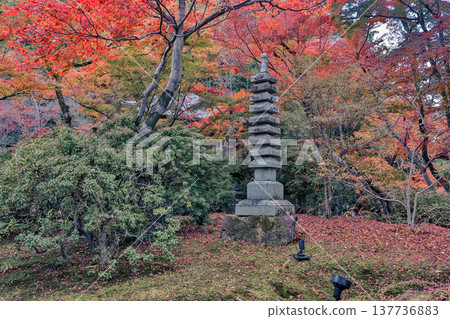 Stone Pagoda at Hogon-in Temple in Kyoto Nov 28 2025 137736883
