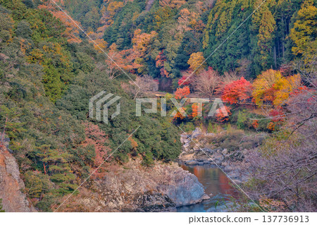 Scenic View of Hozukyo Gorge in Kyoto Japan Scenic View of Hozukyo Gorge in Kyoto Japan 137736913