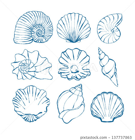 Seashells doodle hand drawn vector illustrations in blue colour. Various shells set. Different shapes. Outline modern style. Summer, vacation, ocean, beach concept. Hand drawn trendy Vector 137737863